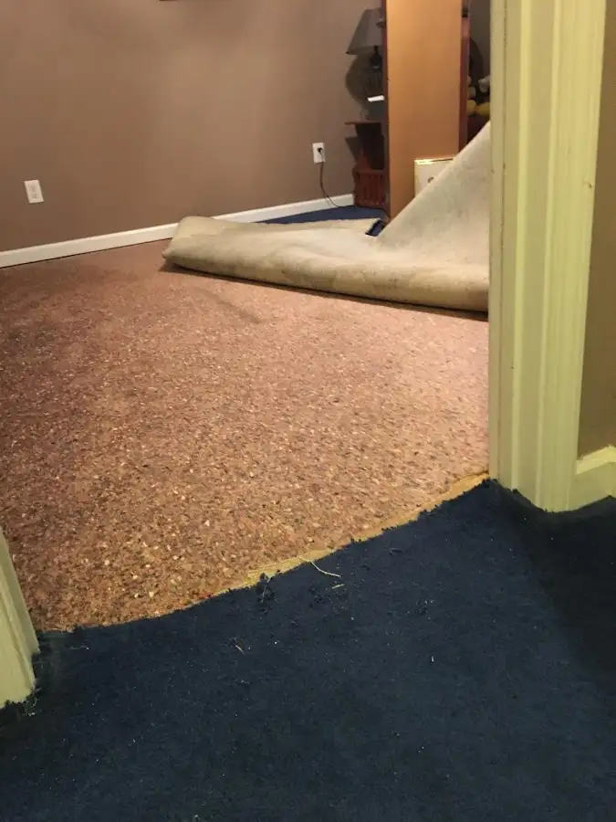 Carpet pad removal revealing water damage during Drying & Dehumidification in Carney