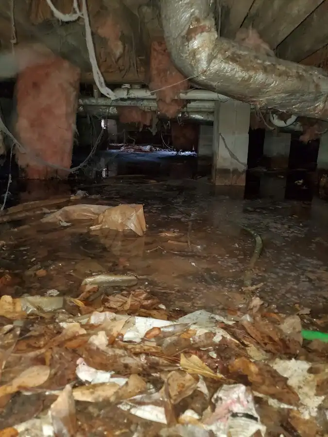 Crawl space flood assessment for Leak Detection & Repair in Carney